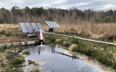 Wasser marsch im Großen Moor
